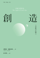 創造:上帝眼中的瞳人